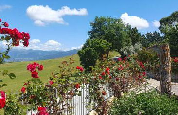 La lepre nella Luna - Foto 36