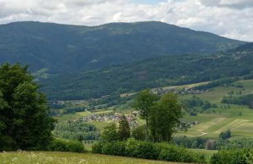 appartement dans ancien chalet d'alpage - Foto 1