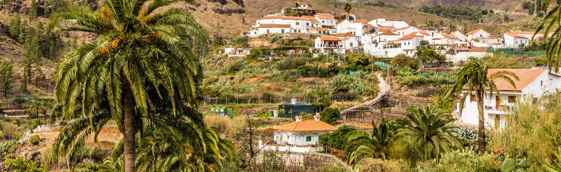 Passeio de camelo pelo Valle de las Mil Palmeras