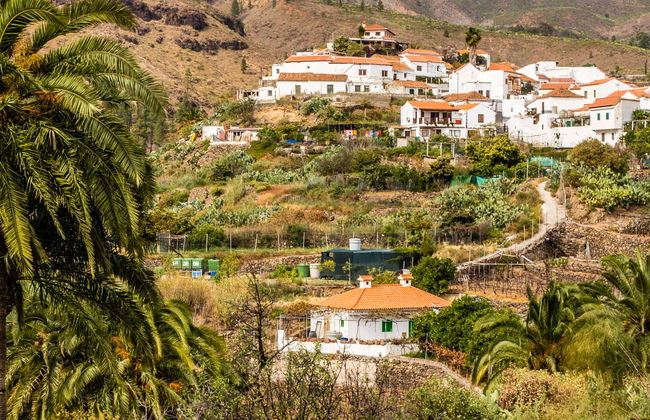 Gran Canaria Camel Ride Tour - Photo 1