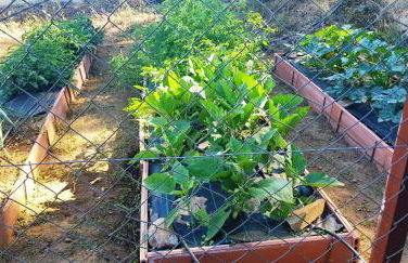 Casa Rural Sierra de Aguafría. Finca El Robledillo - Foto 53