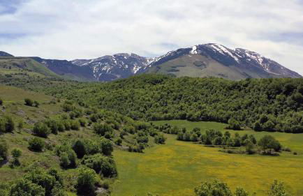 Il Canto degli Uccelli - Foto 39