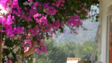 Villa Frangipani with large private pool, Rhodes - Foto 3