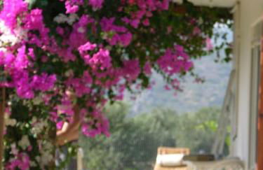 Villa Frangipani with large private pool, Rhodes - Photo 3