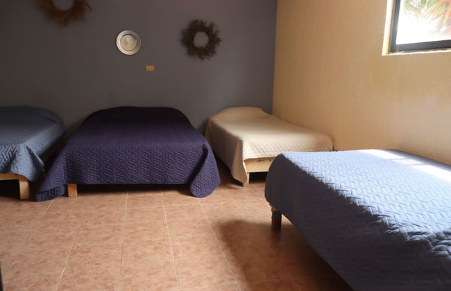 House of Ficus Banderilla,veracruz-mexico - Foto 9