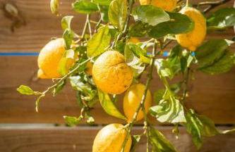 Costa Vicentina cottage with a view - Foto 8