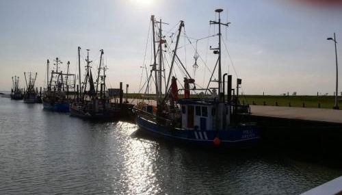 Ferienhaus Carolin am Nordseedeich - Foto 5