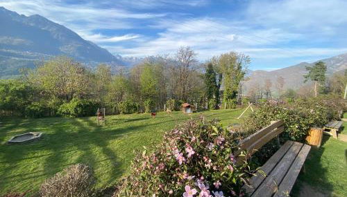 Agriturismo Ortesida - Photo 2, Garden