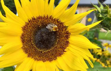 Domek Pod Górką - Foto 23