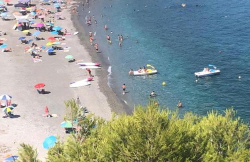 MARINA BEACH FRONT - Photo 10