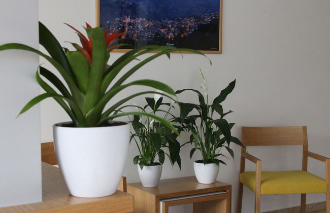 Grey Pearls Suites - Photo 32