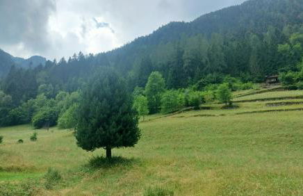 Il Maso del Nonno - Foto 17