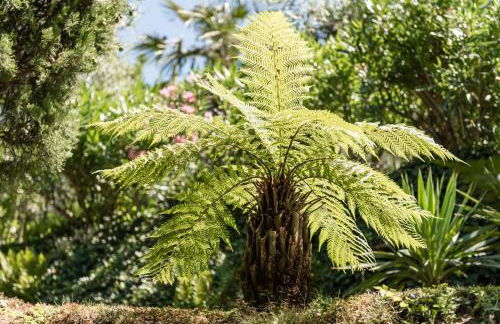 Residence Fischerhof - Foto 46