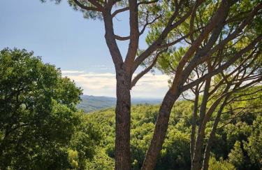 Borgo Livernano - Photo 49
