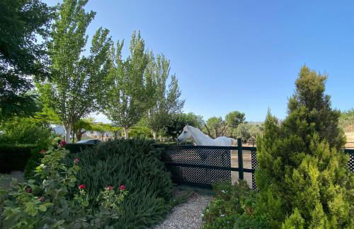 Villa Elisabeth - Foto 33