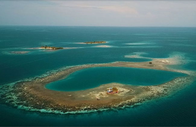 Bird Island Placencia - Foto 17