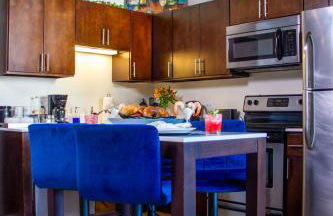 Luxéry Stay Chicago - Themed Units! Close to Downtown, McCormick Place & Wintrust Arena - Foto 66