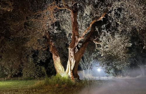 Il Casale di Dorothea - Foto 13