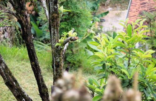 Casazul - OP - Photo 25