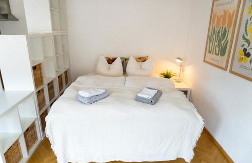 TOP! Gemütliches Studio-Apartment zentral, WLAN, Küche - Foto 8