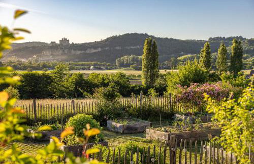 Domaine 6ha - vue Beynac, Castelnaud & Marqueyssac - piscine olympique - Photo 39