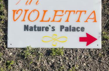 Violetta - Nature's Palace with private pool & view - Photo 64