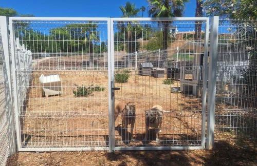 Private Wooden House - Foto 21