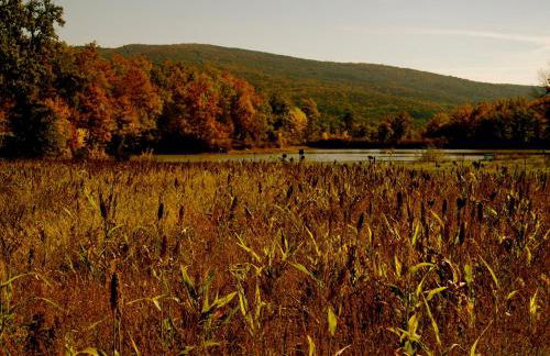 Fattoria Casabianca - Foto 64