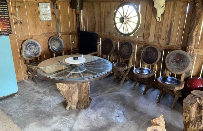 Haras Trevo de Ferro - Photo 14