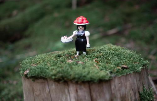 Buhlbach, Black Forest Retreat, mit Sonnenterrasse - Photo 17