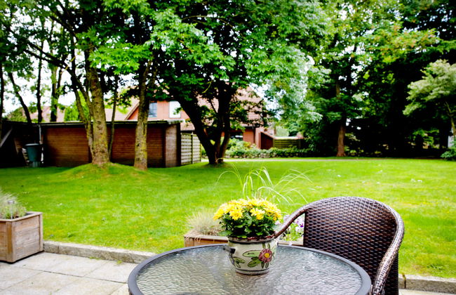 Strandläufer - Foto 31