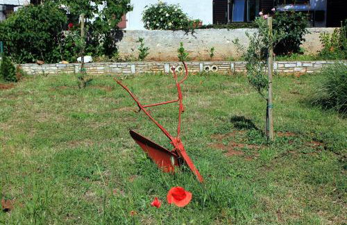 Luxury villa with a swimming pool Manjadvorci, Marcana - 7731 - Foto 16