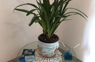 Da Nonna Nicoletta - Foto 23