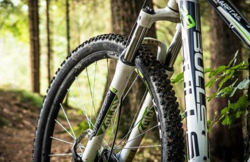 bergwärts - Foto 29