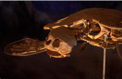 Top Property, Fishermen, Pool Passes, One Minute To The Hot Springs, Location Perfect & Amenity Rich, Pup Friendly, Discover An Exceptional Wyoming Stay, Thermopolis River Walk Home at Hot Springs State Park, 'Where Families and Fisherman Stay' - Foto 60