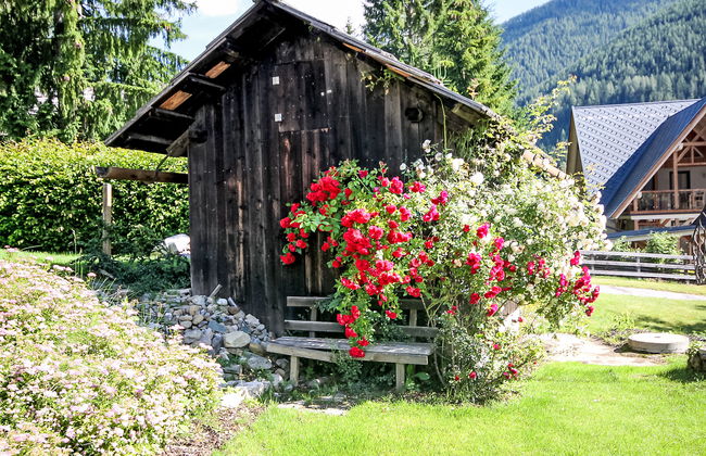 3 bedroom Apartment in Bad Kleinkirchheim with garden and terrace - Photo 40