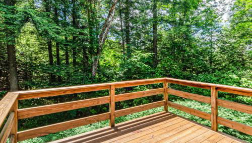 Coolidge Drive Retreat - Photo 3