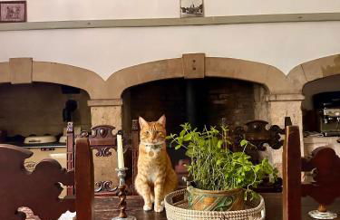 CRESSY HALL - Historic Grade II Listed Manor, Gorgeous Topiary Garden - Foto 21