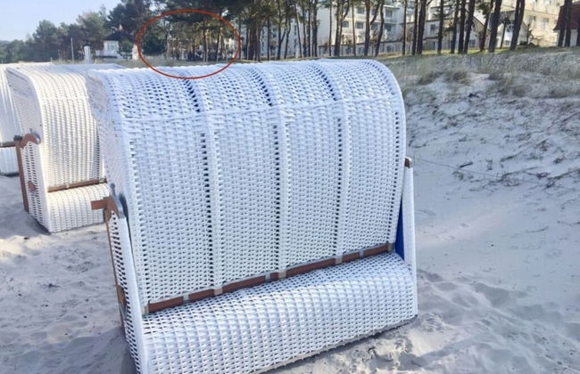 Villa Vogue, Austernfischer - Photo 21