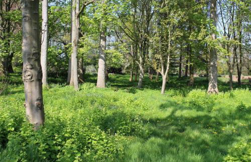 Cottage with log burner and hot tub in shropshire - Foto 19
