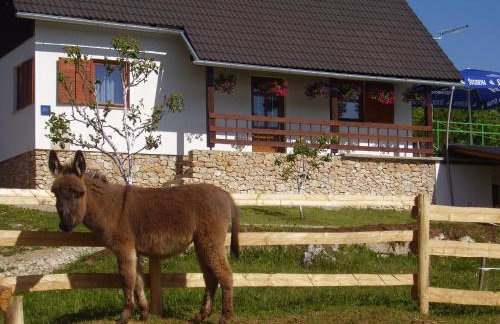 Apartment Goran - Foto 1