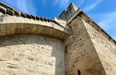 Studio pour deux avec terrasse aux portes de la Camargue - Foto 47