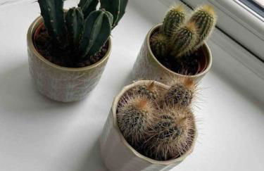 Pretty little cottage in the peaks - Foto 19