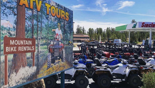 The quads that we'll use during the activity