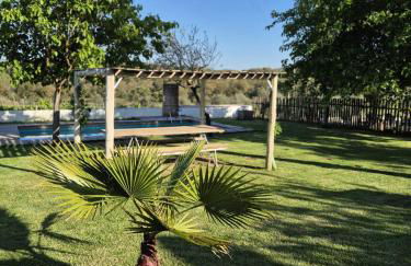 Monte das Aranhas - Foto 22