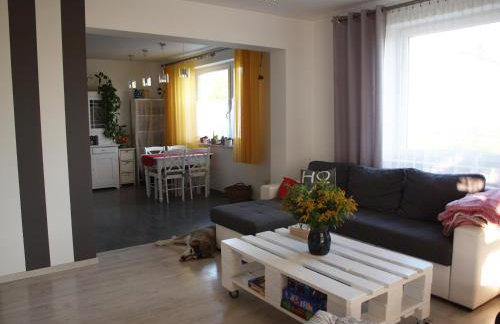 Wakacje u Babci Krysi - Foto 16