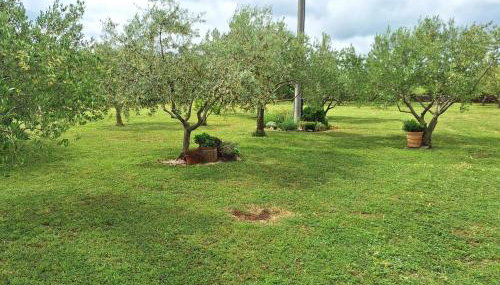 Apartman Lancun - Foto 5