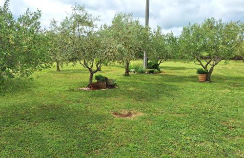 Apartman Lancun - Foto 5