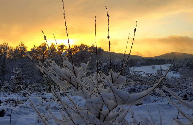 Ferieheisel - Everything, Except Usually! - Photo 16