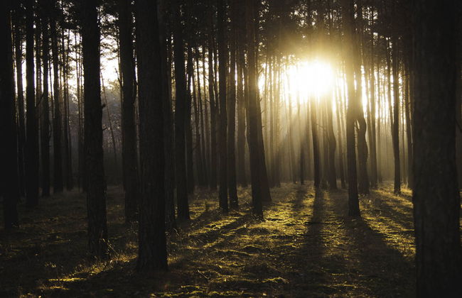 Stara Wieś Resort & Odnowa - Foto 2